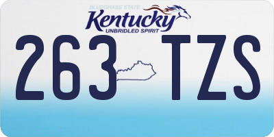 KY license plate 263TZS