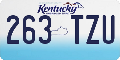 KY license plate 263TZU
