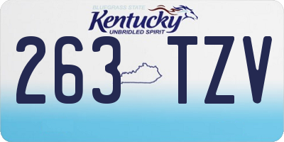 KY license plate 263TZV