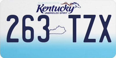 KY license plate 263TZX