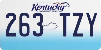 KY license plate 263TZY