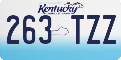 KY license plate 263TZZ