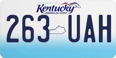 KY license plate 263UAH