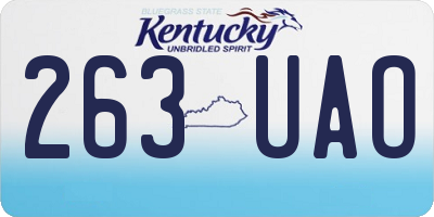 KY license plate 263UAO