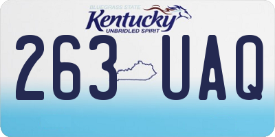 KY license plate 263UAQ