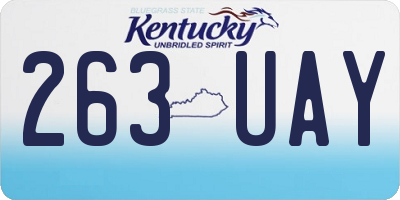 KY license plate 263UAY