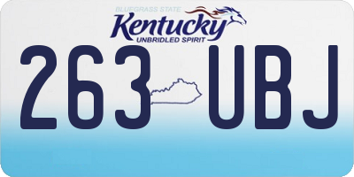 KY license plate 263UBJ
