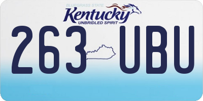 KY license plate 263UBU