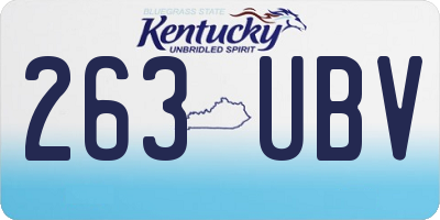 KY license plate 263UBV