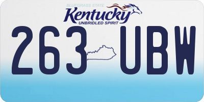 KY license plate 263UBW