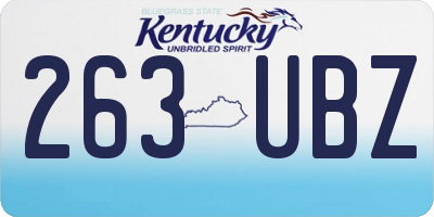 KY license plate 263UBZ