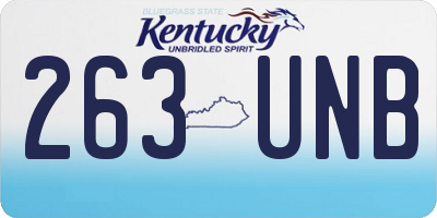 KY license plate 263UNB