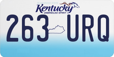 KY license plate 263URQ