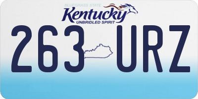 KY license plate 263URZ