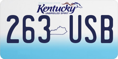 KY license plate 263USB
