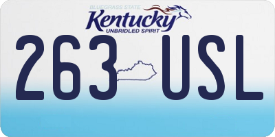 KY license plate 263USL