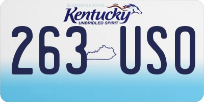 KY license plate 263USO