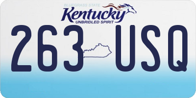 KY license plate 263USQ