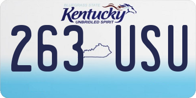 KY license plate 263USU