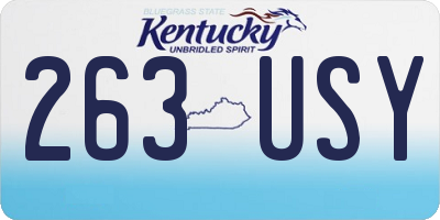 KY license plate 263USY