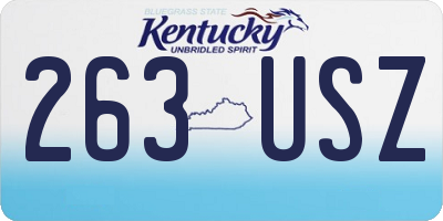 KY license plate 263USZ