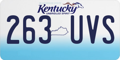 KY license plate 263UVS