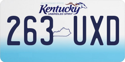KY license plate 263UXD