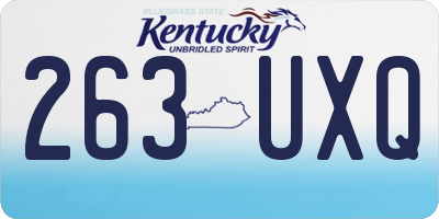 KY license plate 263UXQ