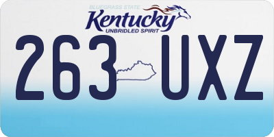 KY license plate 263UXZ