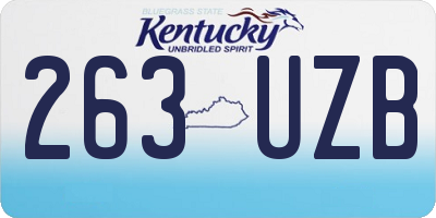 KY license plate 263UZB