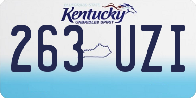 KY license plate 263UZI