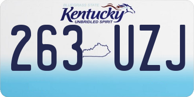 KY license plate 263UZJ