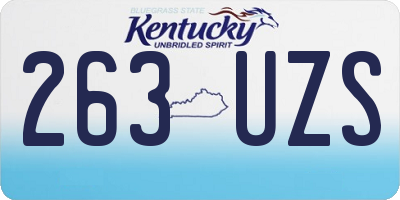 KY license plate 263UZS