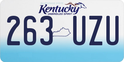 KY license plate 263UZU