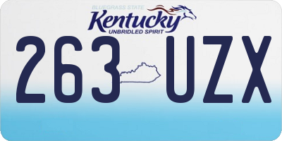 KY license plate 263UZX