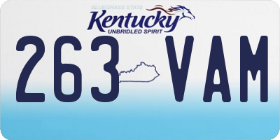 KY license plate 263VAM