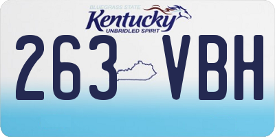 KY license plate 263VBH