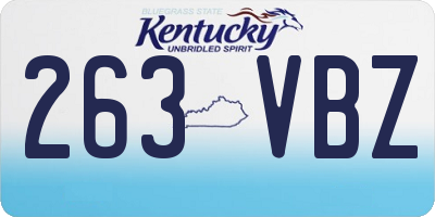 KY license plate 263VBZ