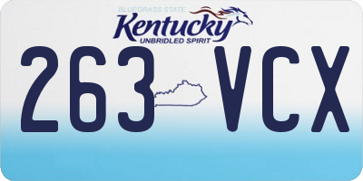 KY license plate 263VCX