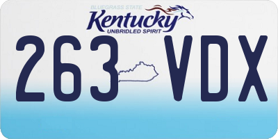 KY license plate 263VDX