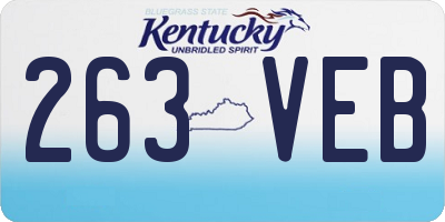 KY license plate 263VEB