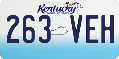 KY license plate 263VEH