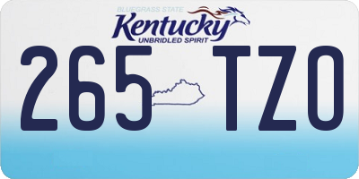 KY license plate 265TZO