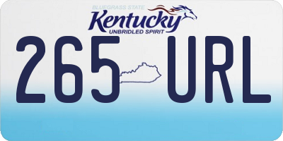 KY license plate 265URL