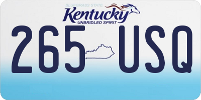 KY license plate 265USQ