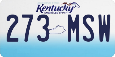 KY license plate 273MSW