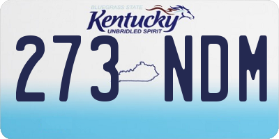 KY license plate 273NDM