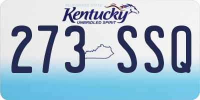 KY license plate 273SSQ