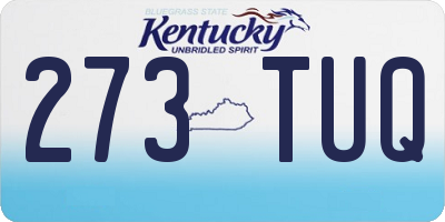 KY license plate 273TUQ