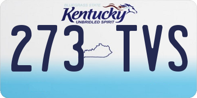 KY license plate 273TVS